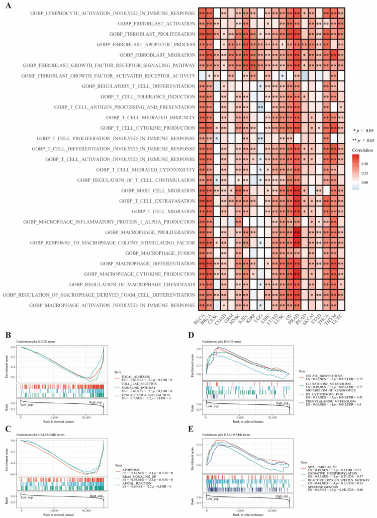 PMC9688912 – cancers-14-05663-f004