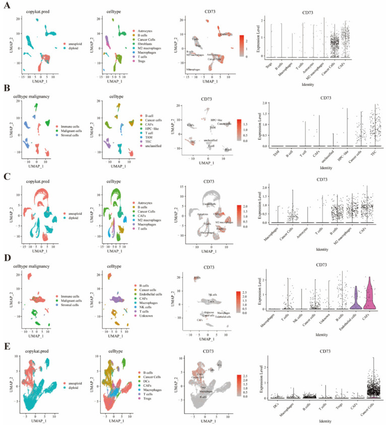 PMC9688912 – cancers-14-05663-f005