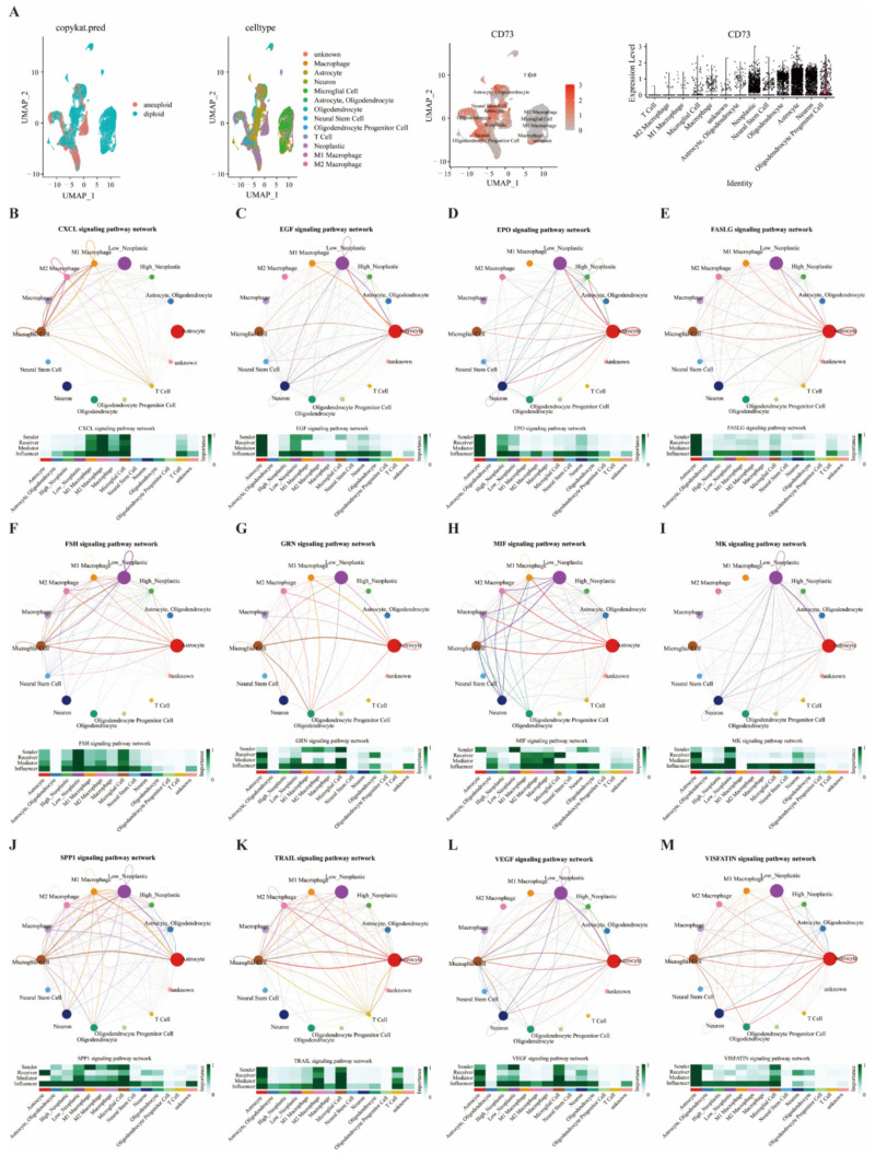 PMC9688912 – cancers-14-05663-f006