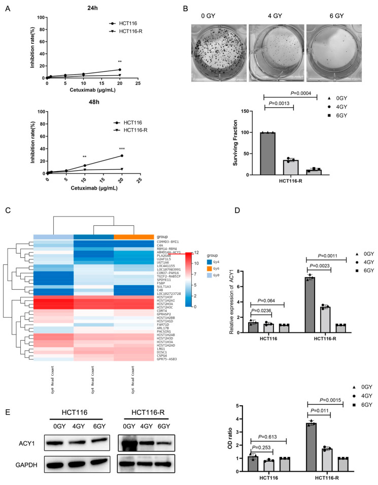 PMC9688869 – cancers-14-05704-f001