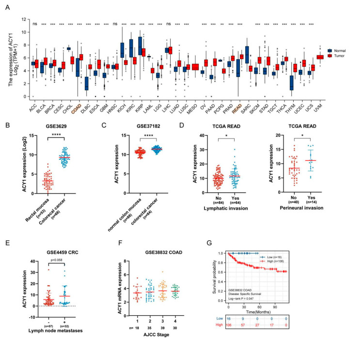 PMC9688869 – cancers-14-05704-f002