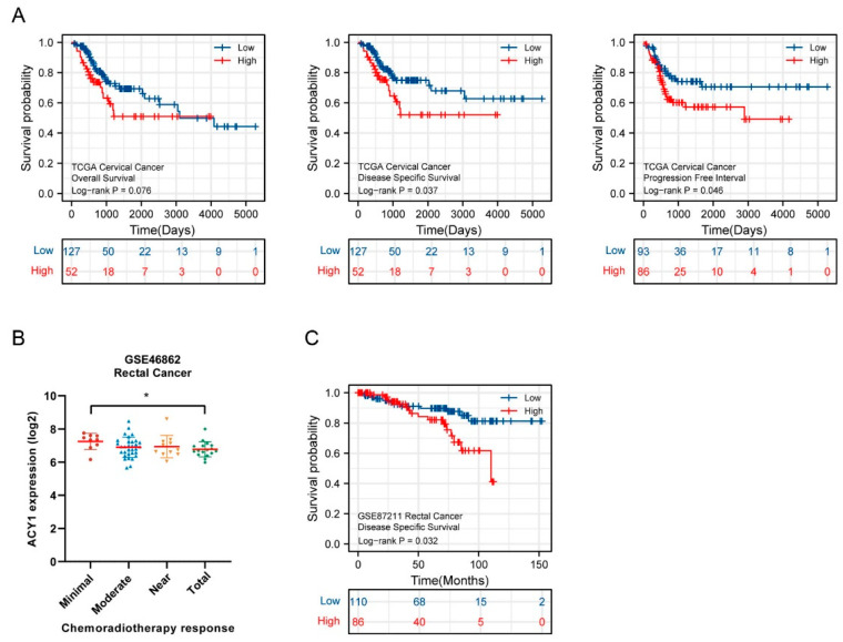 PMC9688869 – cancers-14-05704-f004