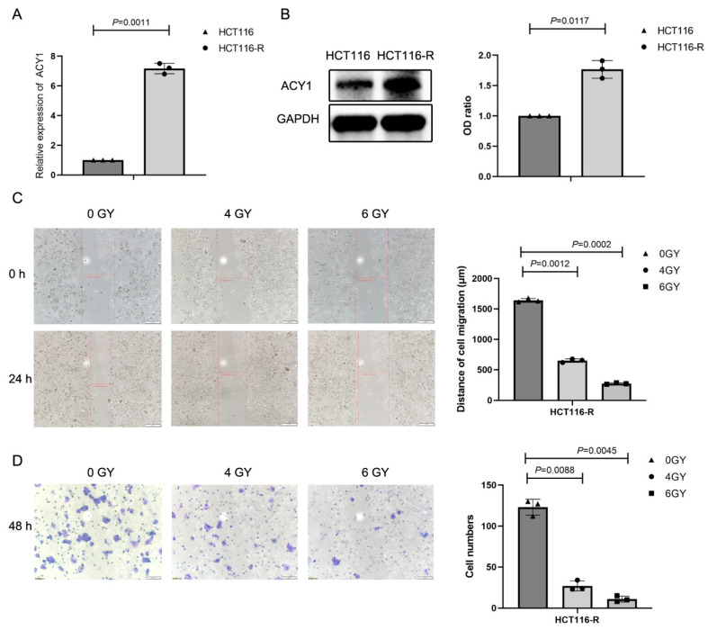 PMC9688869 – cancers-14-05704-f005