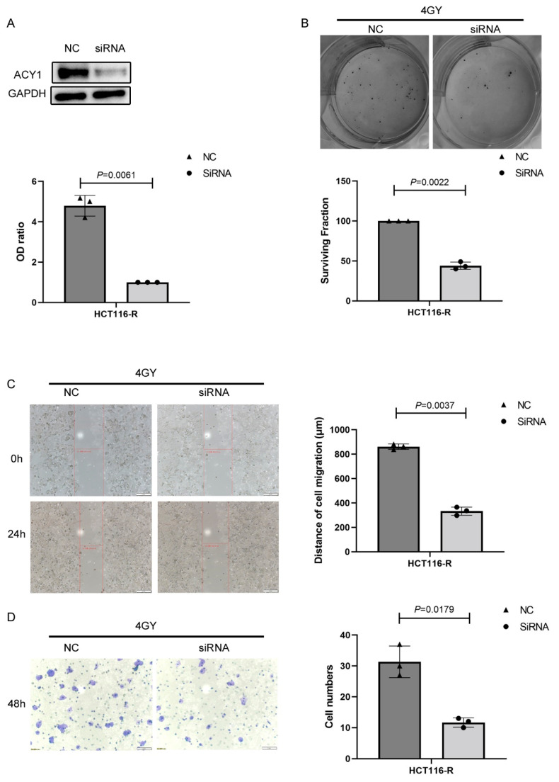 PMC9688869 – cancers-14-05704-f006