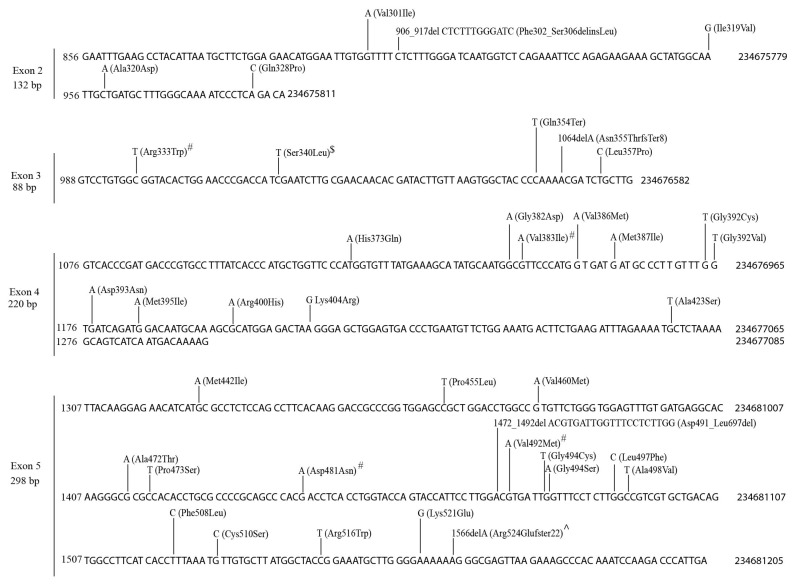 PMC9688768 – cancers-14-05708-f002