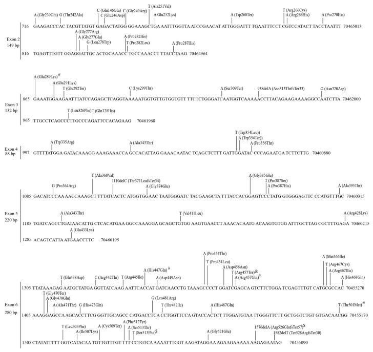 PMC9688768 – cancers-14-05708-f004