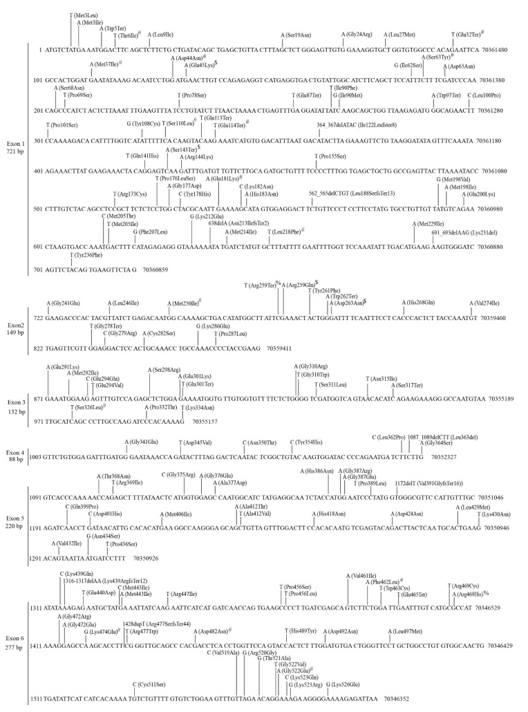 PMC9688768 – cancers-14-05708-f005