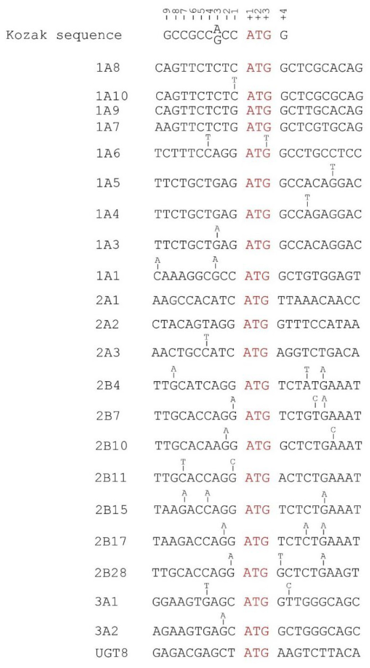 PMC9688768 – cancers-14-05708-f006
