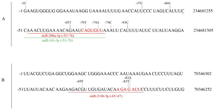 PMC9688768 – cancers-14-05708-f007