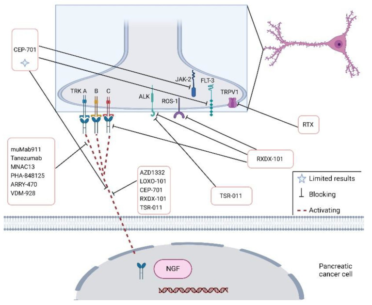 PMC9739544 – cancers-14-05793-f004