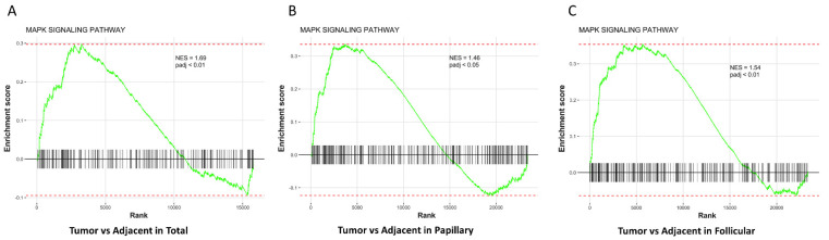 PMC9740761 – cancers-14-05838-f002