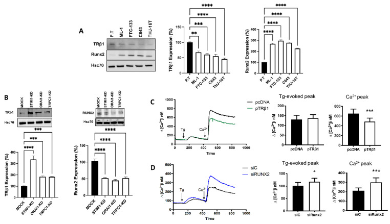 PMC9740761 – cancers-14-05838-f003