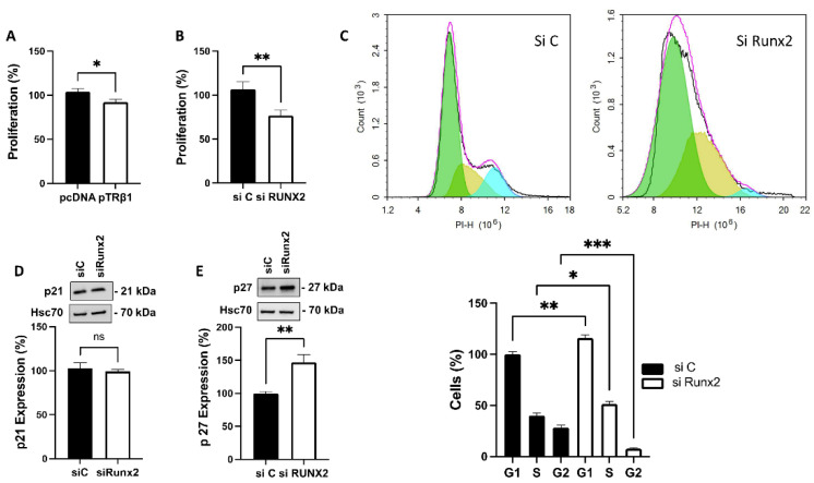 PMC9740761 – cancers-14-05838-f004