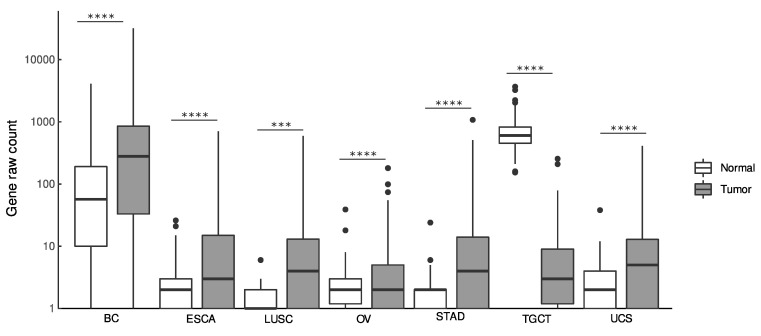 PMC9738797 – cancers-14-05980-f001