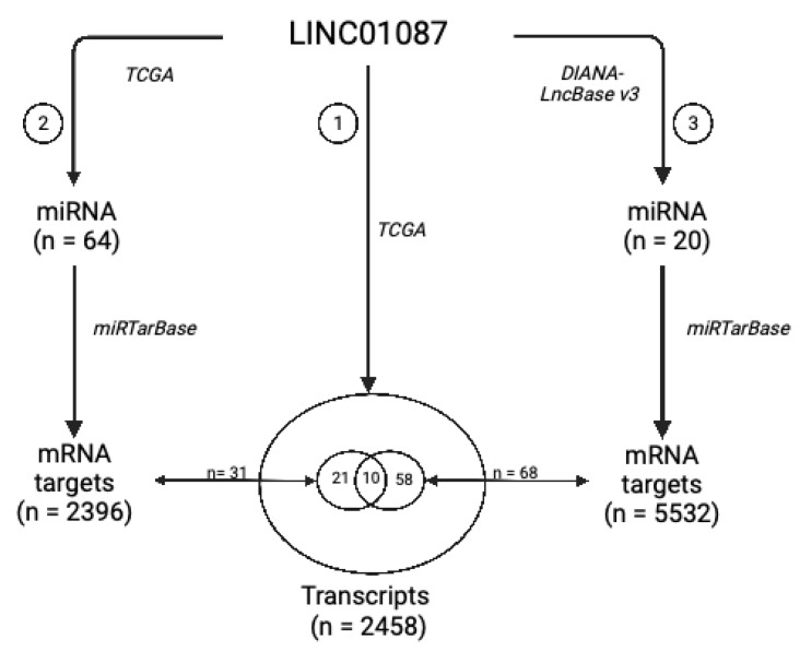 PMC9738797 – cancers-14-05980-f003