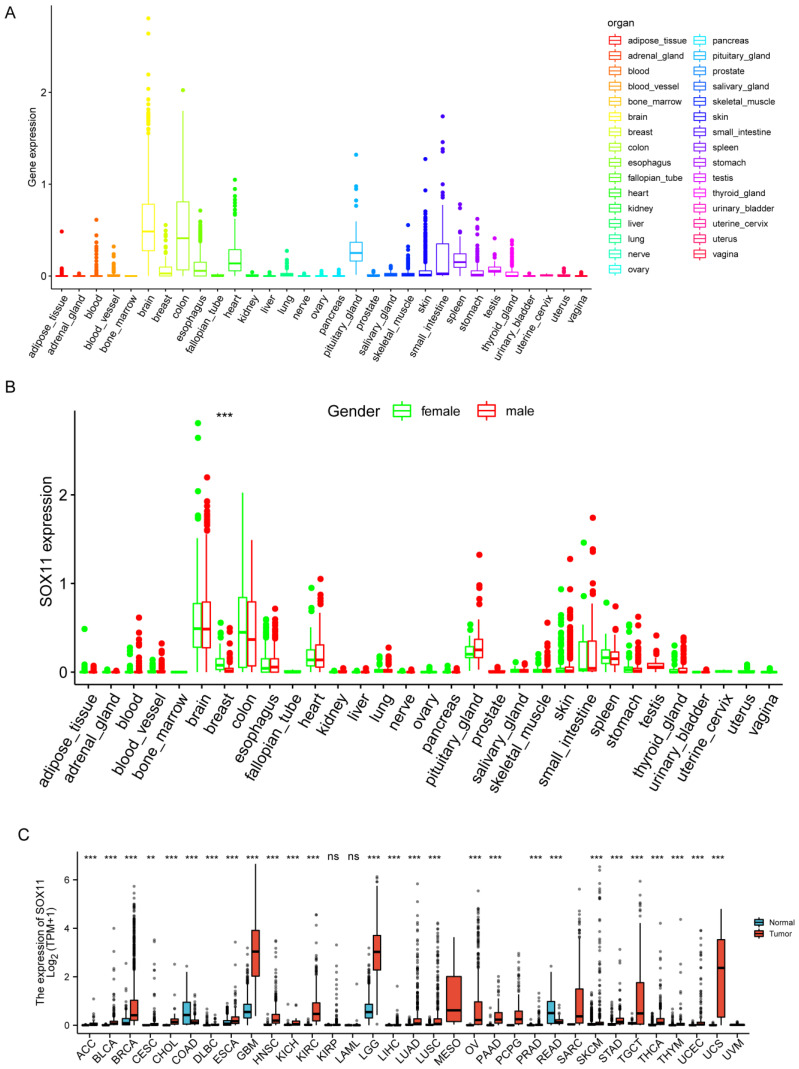 PMC9776339 – cancers-14-06103-f001