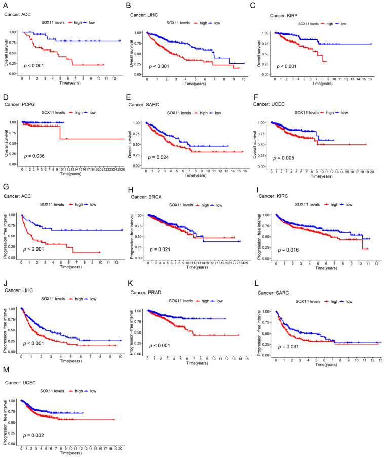 PMC9776339 – cancers-14-06103-f003