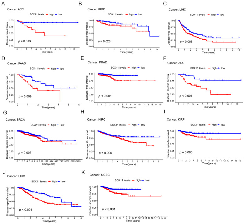 PMC9776339 – cancers-14-06103-f004