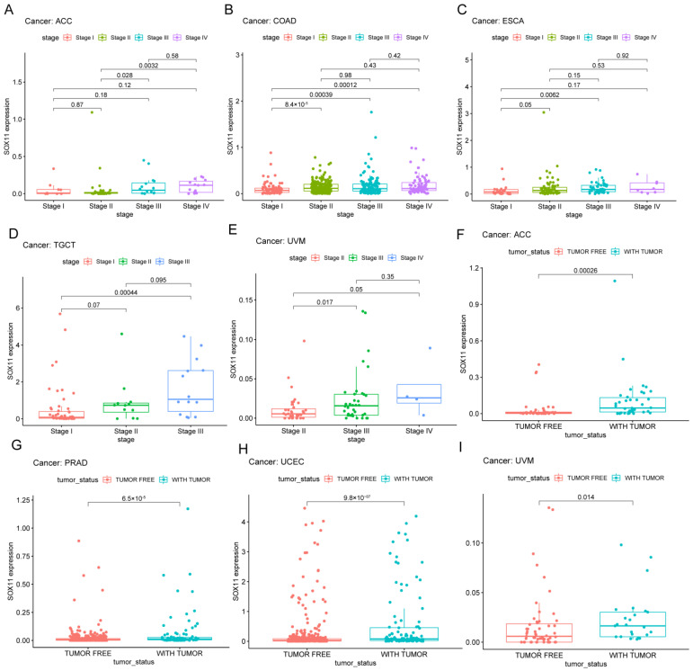 PMC9776339 – cancers-14-06103-f005
