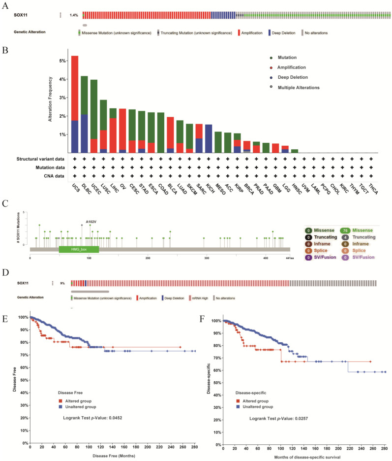 PMC9776339 – cancers-14-06103-f006