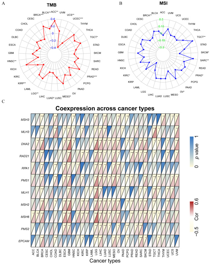 PMC9776339 – cancers-14-06103-f008