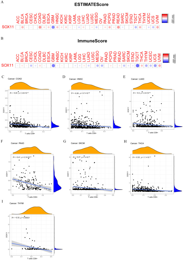 PMC9776339 – cancers-14-06103-f009