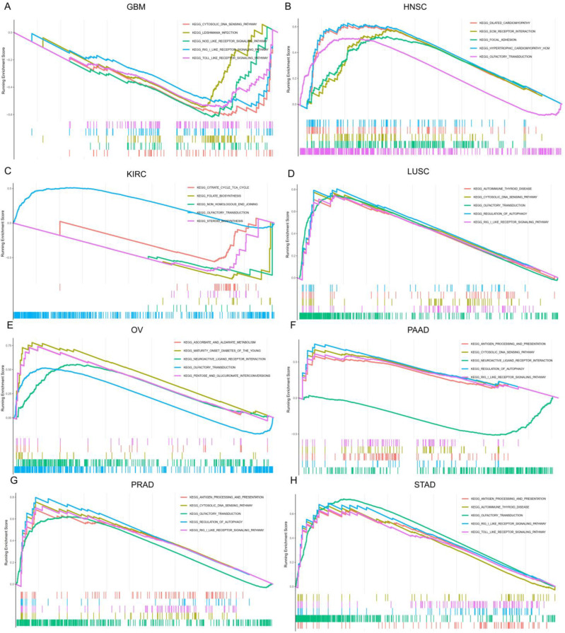PMC9776339 – cancers-14-06103-f010