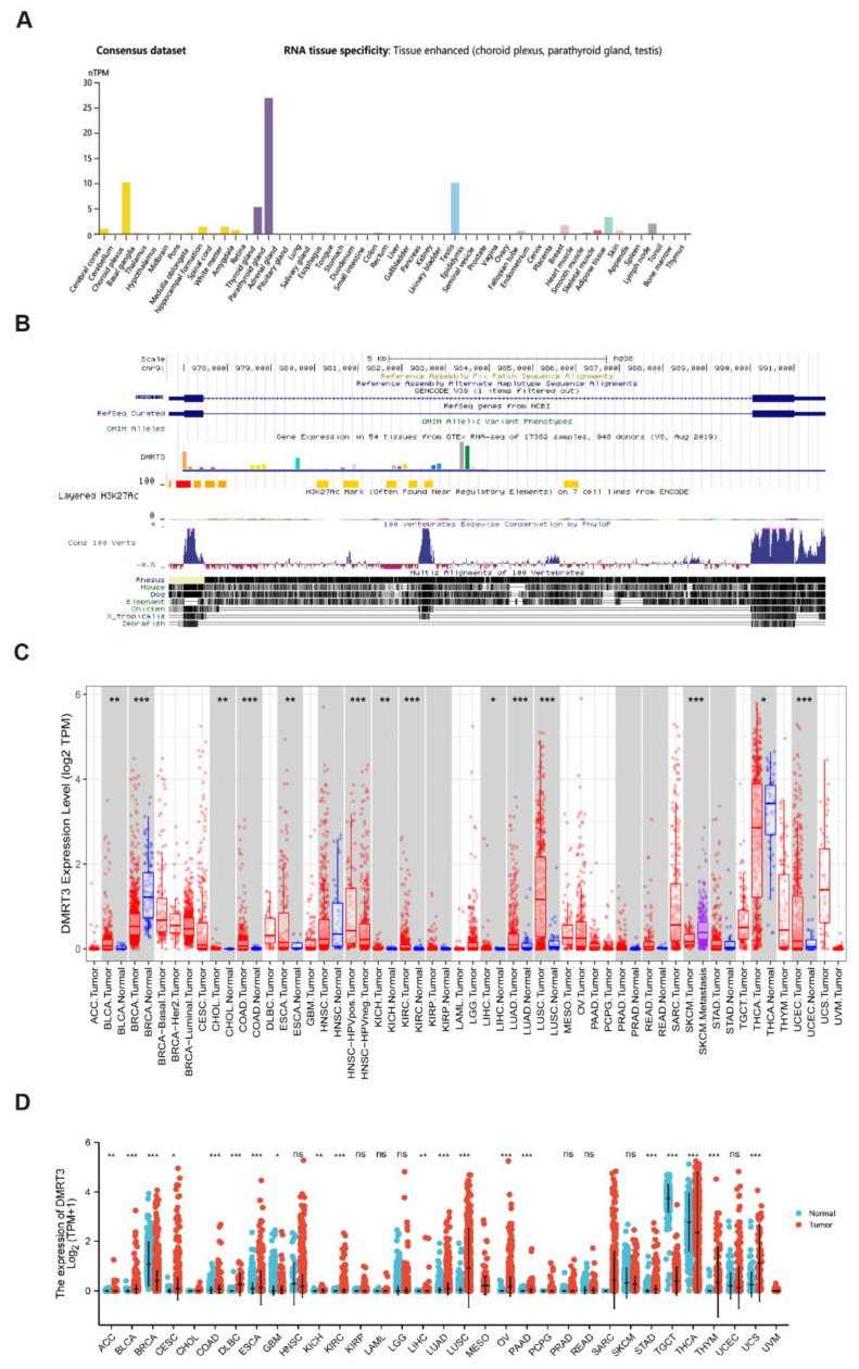 PMC9777283 – cancers-14-06220-f001