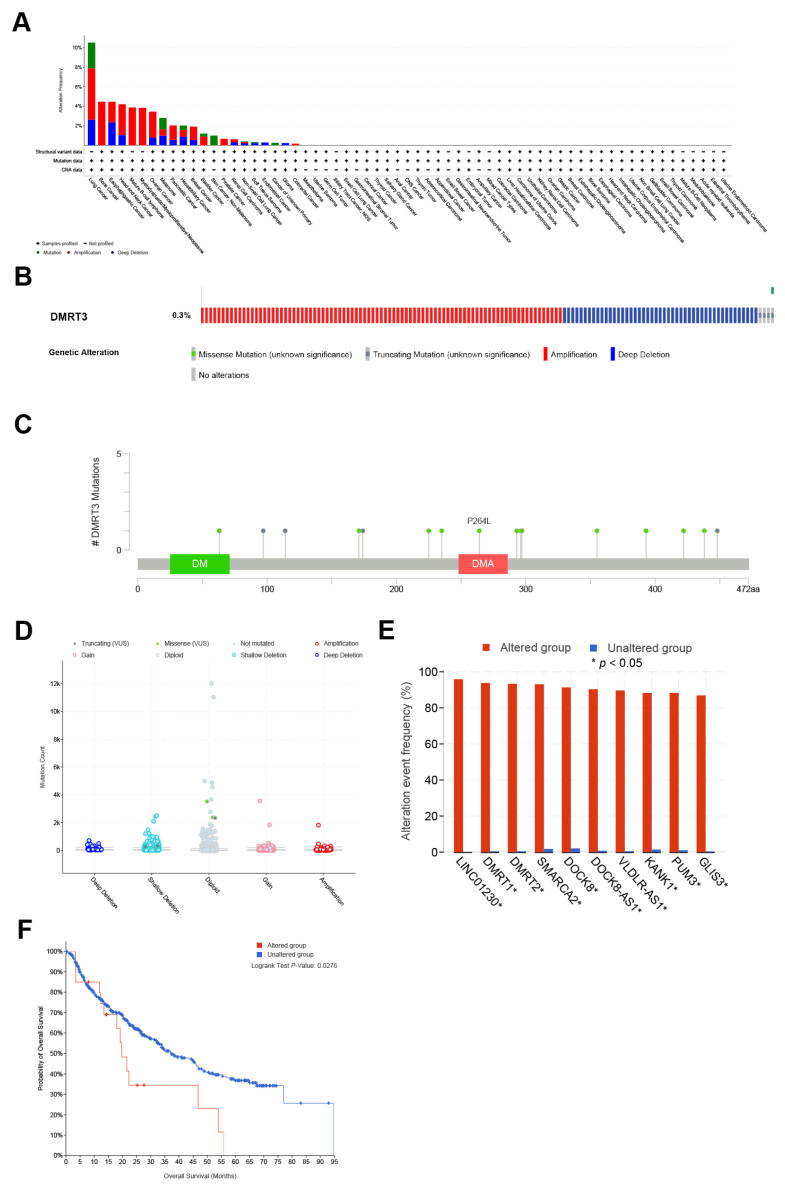 PMC9777283 – cancers-14-06220-f006