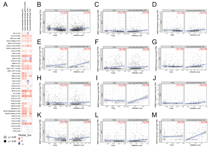 PMC9777283 – cancers-14-06220-f007