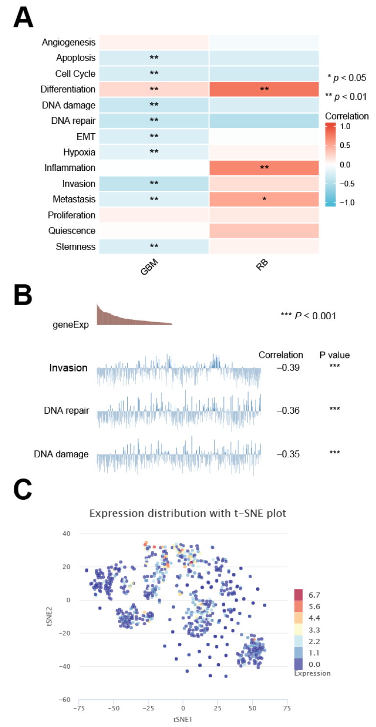 PMC9777283 – cancers-14-06220-f010