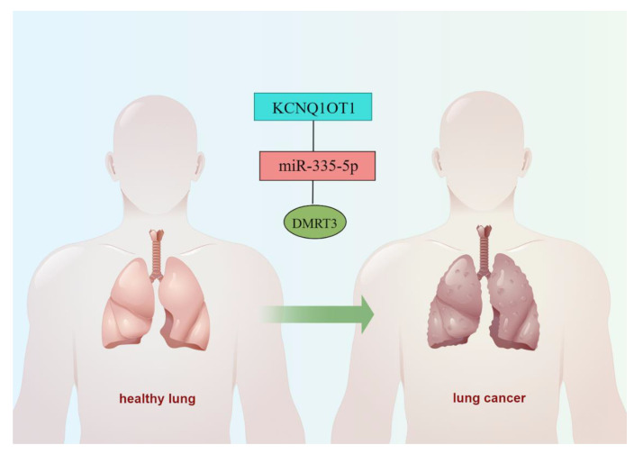 PMC9777283 – cancers-14-06220-f012