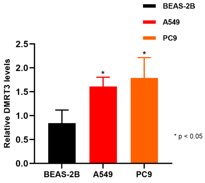 PMC9777283 – cancers-14-06220-f013