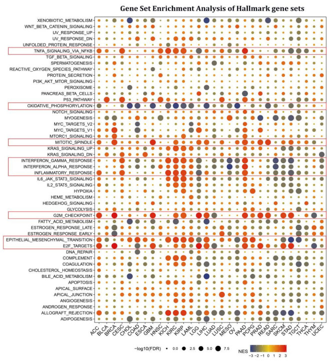 PMC9817965 – cancers-15-00027-f003