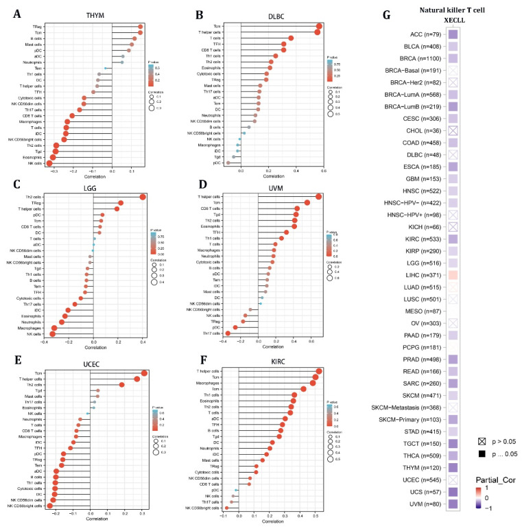 PMC9817965 – cancers-15-00027-f004