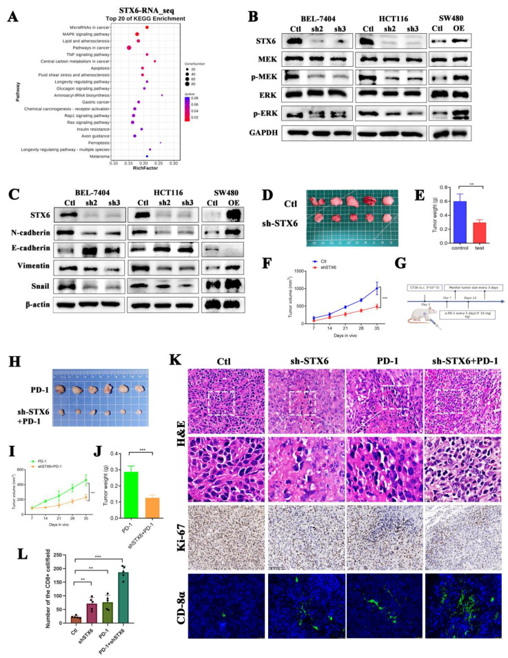 PMC9817965 – cancers-15-00027-f008