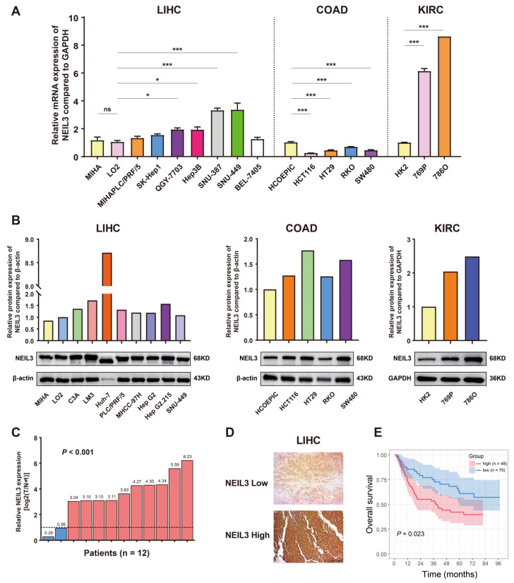 PMC9817722 – cancers-15-00109-f002
