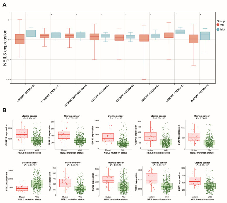 PMC9817722 – cancers-15-00109-f004