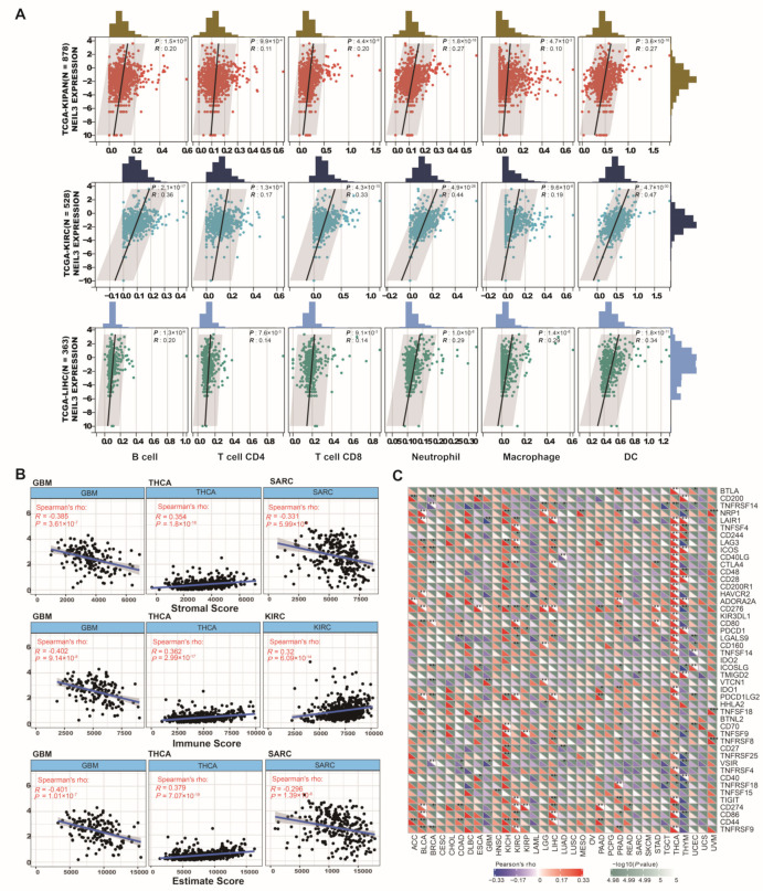 PMC9817722 – cancers-15-00109-f006