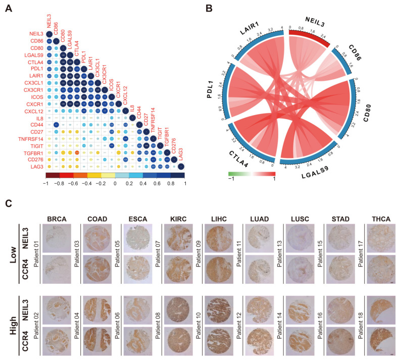 PMC9817722 – cancers-15-00109-f007
