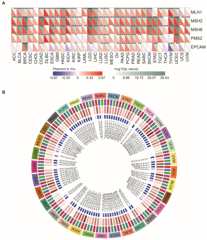 PMC9817722 – cancers-15-00109-f009
