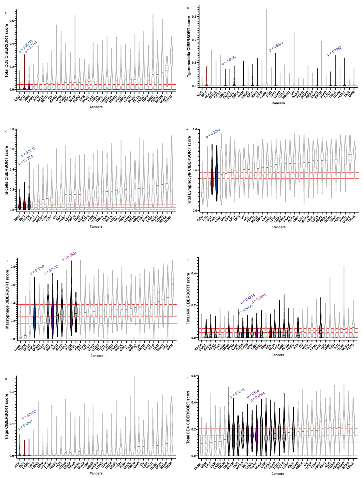 PMC9818508 – cancers-15-00305-f002
