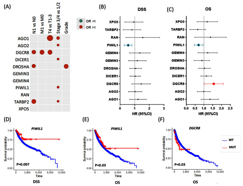 PMC9856462 – cancers-15-00338-f007