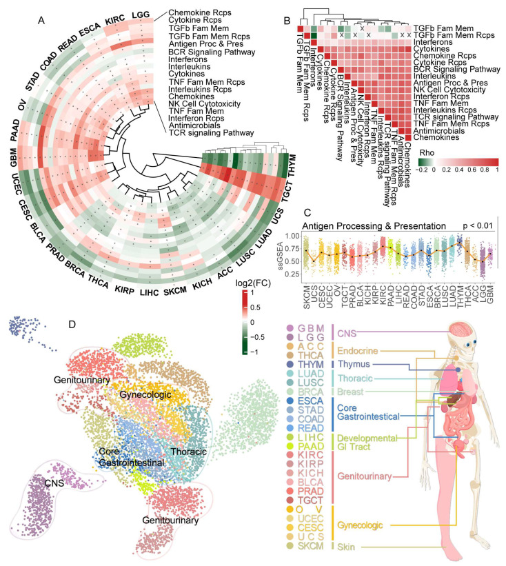 PMC9856581 – cancers-15-00342-f001