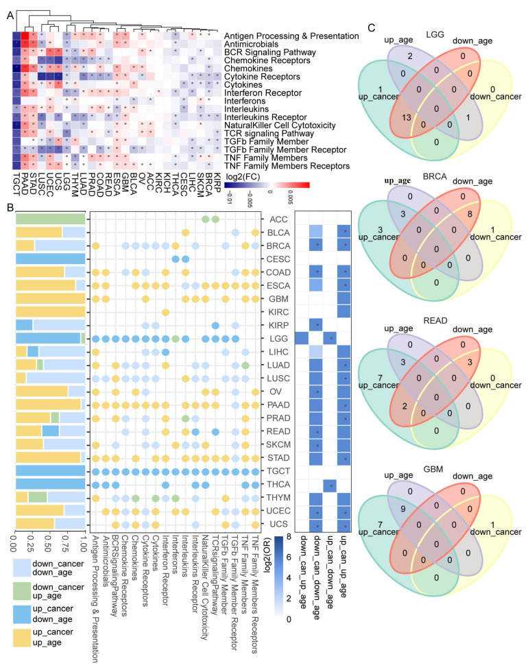 PMC9856581 – cancers-15-00342-f002