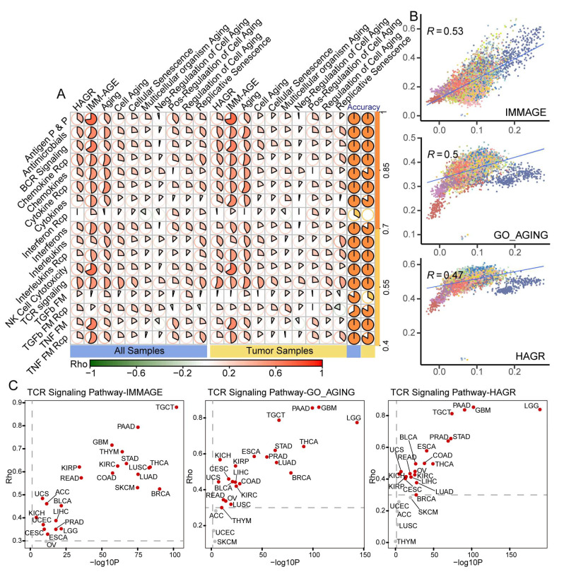PMC9856581 – cancers-15-00342-f003