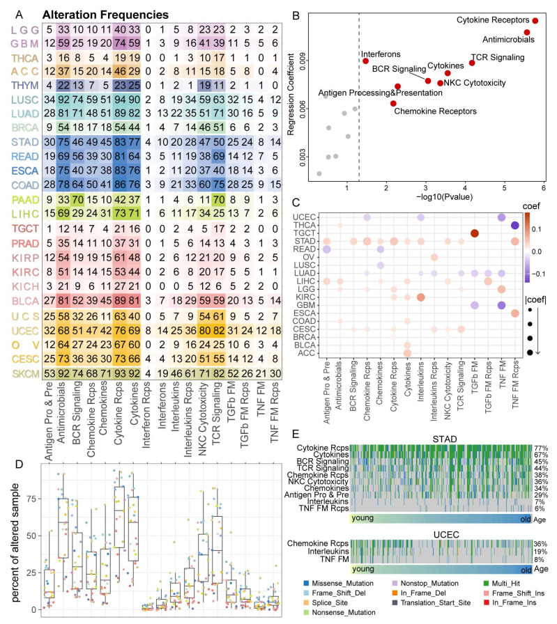 PMC9856581 – cancers-15-00342-f004