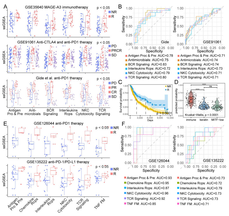 PMC9856581 – cancers-15-00342-f006