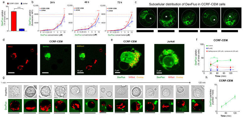 PMC9856638 – cancers-15-00445-f002