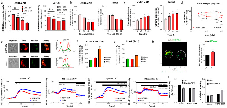 PMC9856638 – cancers-15-00445-f003